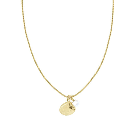 Collana con Conchiglia e perla, in ACCIAIO inox