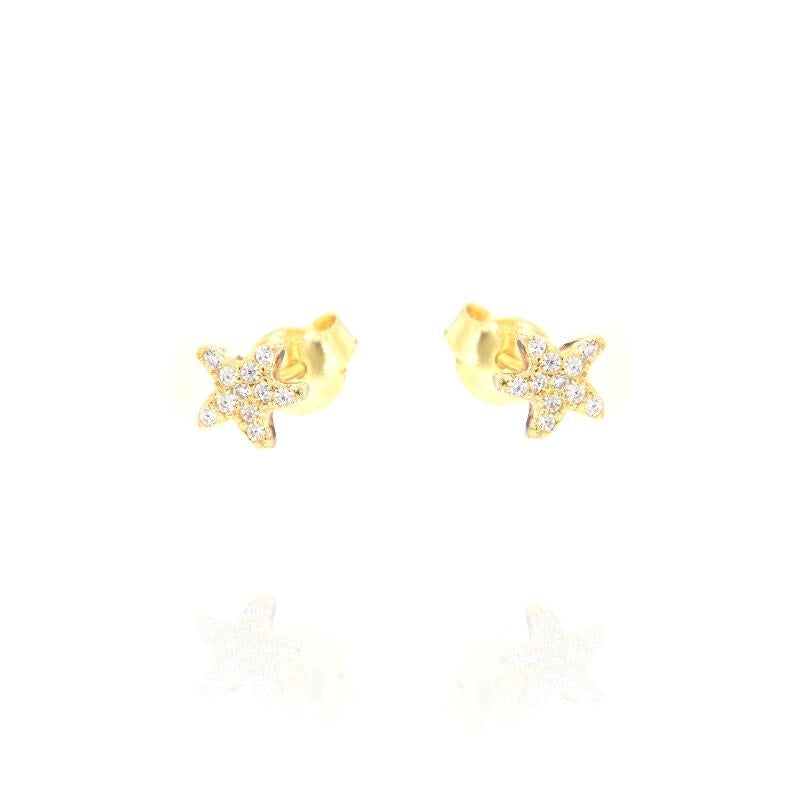 Orecchini Stella marina, Argento s925