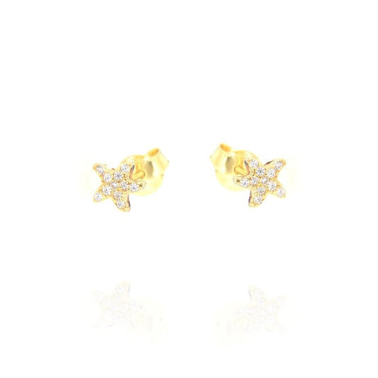 Orecchini Stella marina, Argento s925