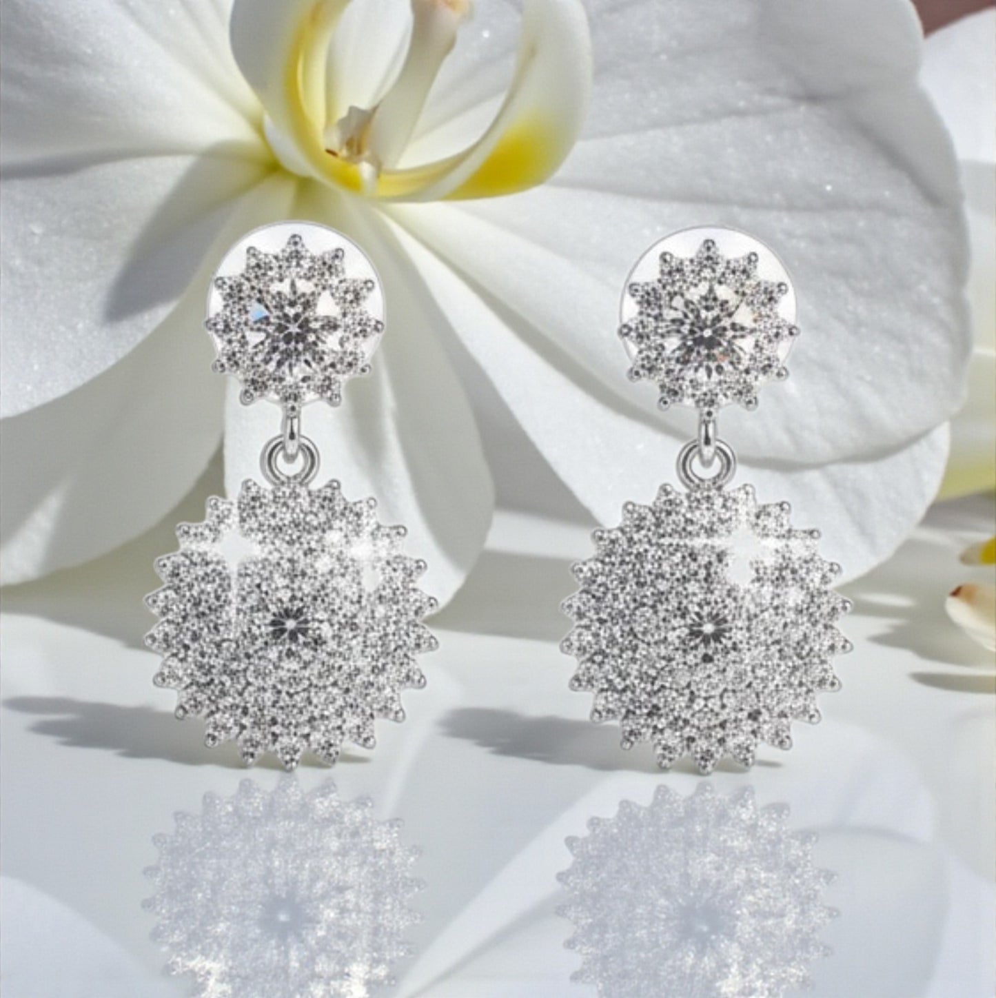 Orecchini Pendenti Tondi in Moissanite, Argento s925
