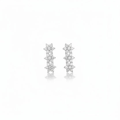 Orecchini Fiorellini con MOISSANITE, in Argento S925